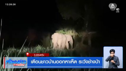 เตือนชาวบ้านออกหาเห็ด ระวังช้างป่า จ.ขอนแก่น