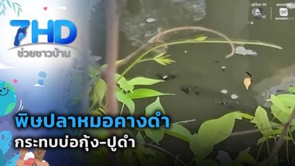 พิษปลาหมอคางดำ กระทบบ่อกุ้ง-ปูดำ