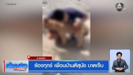 ร้องทุกข์ เพื่อนบ้านตีสุนัข บาดเจ็บ