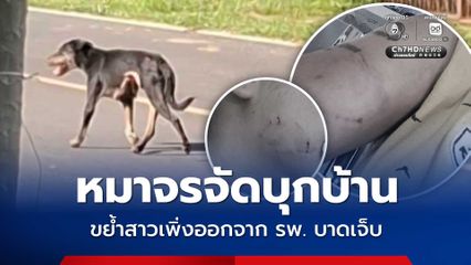 สุนัขจรจัดบุกบ้านกัดสาวเพิ่งออกจาก รพ. บาดเจ็บ