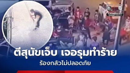 ผู้เสียหายร้องถูกรุมทำร้ายบาดเจ็บ สาเหตุไปตีสุนัขที่กัด
