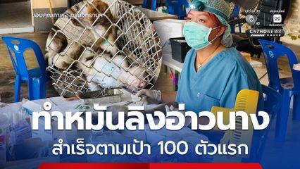 ลุยทำหมันลิงอ่าวนาง จ.กระบี่ สำเร็จ 100 ตัวแรก ลดผลกระทบชุมชน