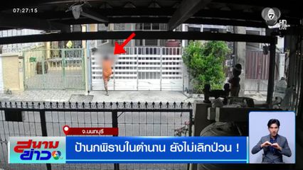 ป้านกพิราบในตำนาน ยังไม่เลิกป่วน !