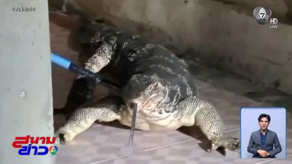 พลังสามัคคี จับตัวเงินตัวทองบุกบ้าน