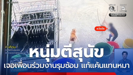 หนุ่มตีสุนัข ถูกเพื่อนร่วมงานแก้แค้นแทน