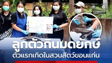 ลูกตัวกินมดยักษ์ ตัวแรกเกิดในสวนสัตว์ขอนแก่น เตรียมโหวตตั้งชื่อ