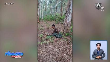 พรานผึ้งเจ็บหนัก เหตุพลัดตกต้นไม้สูงขณะเก็บน้ำผึ้ง