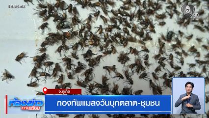กองทัพแมลงวันบุกตลาด-ชุมชน