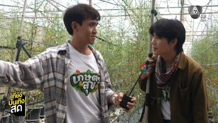 เกษตรสุข เสาร์นี้ พาไปดูโรงเรือนอัจฉริยะ ปลูกมะเขือเทศเชอร์รี่ ที่สุพรรณบุรี