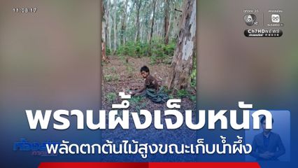 พรานผึ้งเจ็บหนัก เหตุพลัดตกต้นไม้สูงขณะเก็บน้ำผึ้ง