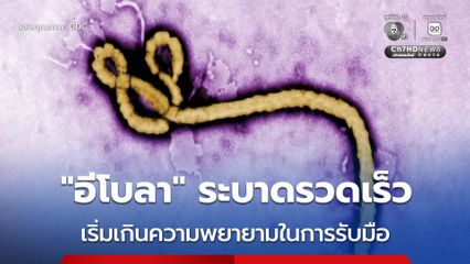 ผอ.องค์การอนามัยโลก เผย “อีโบลา” กำลังแพร่อย่างรวดเร็ว เกินกว่าความพยายามในการรับมือ