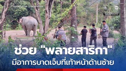 ช่วย “พลายสาริกา” มีอาการบาดเจ็บที่เท้าหน้าด้านซ้าย