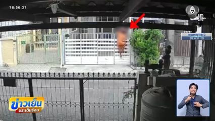สุดทน ! เพื่อนบ้านจ่อฟ้องบุกรุก กับป้านกพิราบ