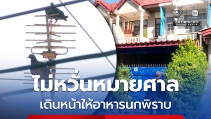 ฝ่าฝืนคำสั่งศาล ! ป้านกพิราบย่านบางบัวทองปิดประตูเงียบ