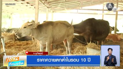 ราคาควายตกต่ำในรอบ 10 ปี
