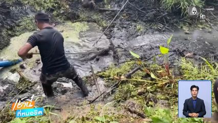 จระเข้โผล่บ่อพักน้ำริมถนน