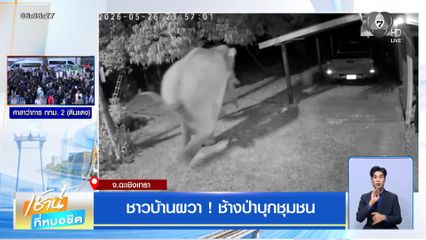 ชาวบ้านผวา ! ช้างป่าบุกชุมชน