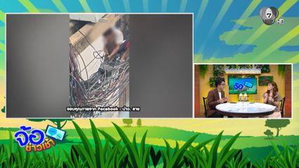 ชายเร่ร่อนปีนเสาไฟฟ้า ขโมยสายสื่อสาร