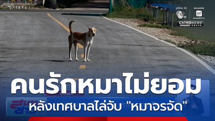 ดรามาหนัก ! ปัญหาหมาจรจัด จ.ระยอง