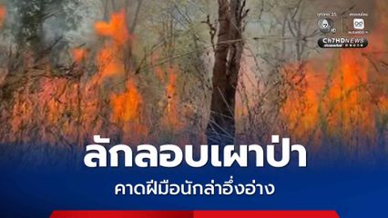 ลักลอบเผาป่าสงวนหนองเต็งจักราช เสียหายหนัก คาดฝีมือนักล่าอึ่งอ่าง