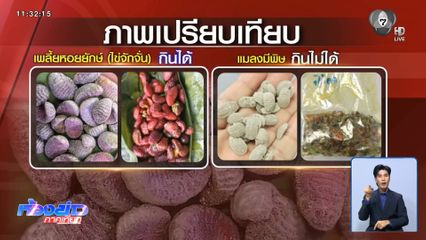 สาวกินแมลงทอดมีพิษ คิดว่าไข่จักจั่น