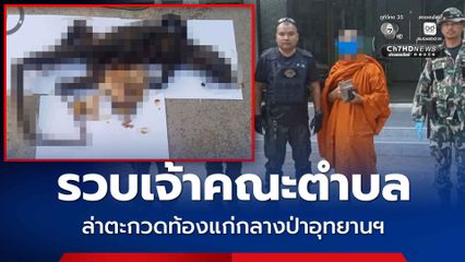 รวบเจ้าคณะตำบล ล่าตะกวดท้องแก่กลางป่าอุทยานแห่งชาติ