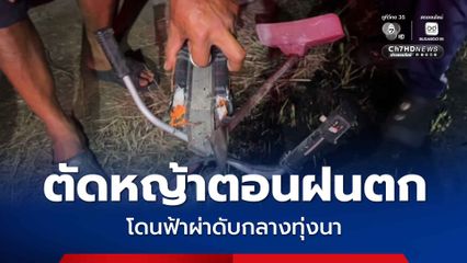 ตัดหญ้าตอนฝนตก โดนฟ้าผ่าดับกลางทุ่งนา