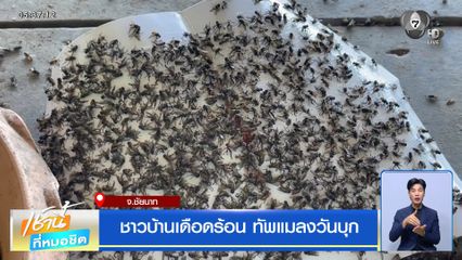 ชาวบ้านเดือดร้อน ทัพแมลงวันบุก จ.ชัยนาท
