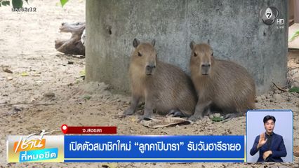 เปิดตัวสมาชิกใหม่ "ลูกคาปิบารา" รับวันฮารีรายอ