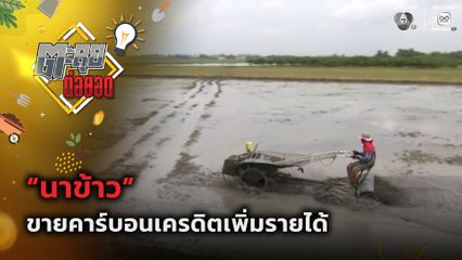ตะลุยต่อยอด : "นาข้าว" ขายคาร์บอนเครดิตเพิ่มรายได้
