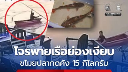 โจรพายเรือย่องเงียบ ขโมยปลากดคัง 15 กิโลกรัม