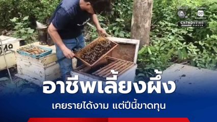 อาชีพเลี้ยงผึ้งที่เคยสร้างรายได้เลี้ยงครอบครัวได้อย่างมั่นคง กำลังเผชิญวิกฤตในปีนี้