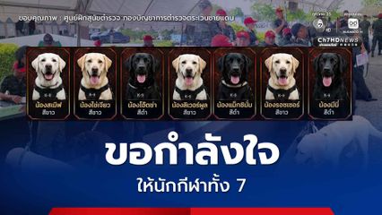 ขอกำลังใจให้ "นักกีฬา 4 ขา" เข้าร่วมการแข่งขัน “Wardog Game 2026” ระหว่าง 29-31 พ.ค.นี้