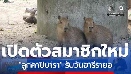 เปิดตัวสมาชิกใหม่ "ลูกคาปิบารา" รับวันฮารีรายอ