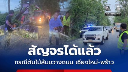 สัญจรได้แล้ว กรณีต้นไม้ล้มขวางถนน เชียงใหม่-พร้าว