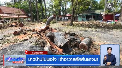ชาวบ้านไม่พอใจ เจ้าอาวาสตัดต้นยางนา