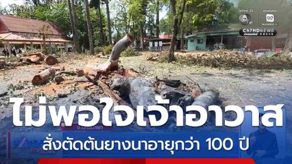ชาวบ้านไม่พอใจ เจ้าอาวาสตัดต้นยางนา