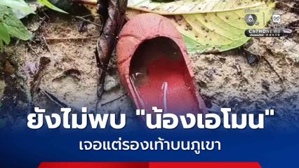ระดมกว่า 100 ชีวิตค้นหา “น้องเอโมน” อายุ 2 ขวบ หายปริศนา พบเพียงรองเท้าแตะบนภูเขา