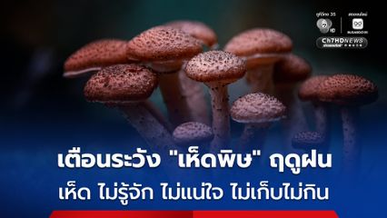 กรมควบคุมโรค เตือนระวัง เห็ดพิษ ช่วงฤดูฝน ย้ำยึดหลัก เห็ด ไม่รู้จัก ไม่แน่ใจ ไม่เก็บ ไม่กิน เพื่อความปลอดภัย