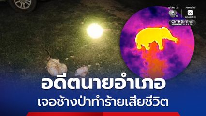 อดีตนายอำเภอ เจอช้างป่าทำร้ายเสียชีวิต