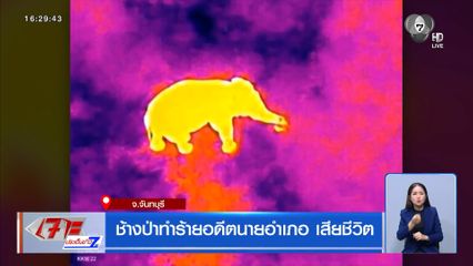 ช้างป่าทำร้ายอดีตนายอำเภอเสียชีวิต จ.จันทบุรี