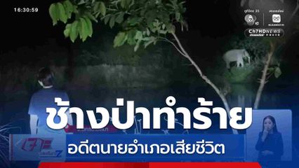 ช้างป่าทำร้ายอดีตนายอำเภอเสียชีวิต จ.จันทบุรี