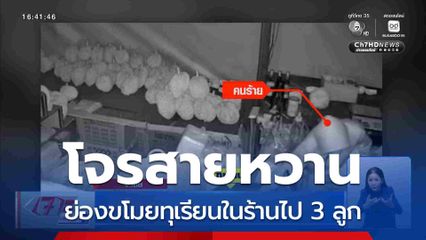 โจรสายหวาน ย่องขโมยทุเรียน