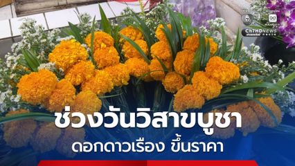 ดอกดาวเรือง ขอนแก่น ปรับราคาขึ้นเป็นดอกละ 2 บาท รับวันวิสาขบูชา