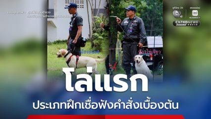 โล่ห์แรกมาแล้ว น้องสเมิฟ ชนะเลิศอันดับ 1 และ น้องไข่เจียว รองชนะเลิศอันดับ 2  ประเภทฝึกเชื่อฟังคำสั่งเบื้องต้น