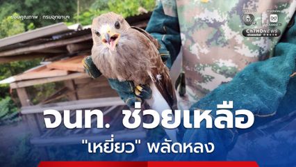 เจ้าหน้าที่ สบอ.15 (เชียงราย) ช่วยเหลือ "เหยี่ยว" พลัดหลง หลังได้รับแจ้งผ่านสายด่วน 1362