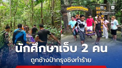 สาวนักศึกษาเจ็บ 2 คน ถูกช้างป่ากรุงชิงทำร้าย หลังเที่ยวน้ำตกกรุงชิง