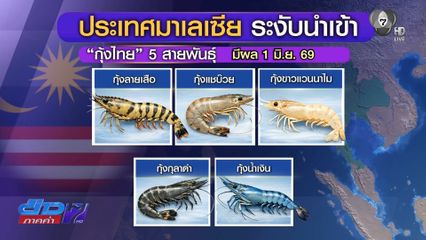 1 มิ.ย. นี้ มาเลเซียสั่งห้ามนำเข้ากุ้งไทย