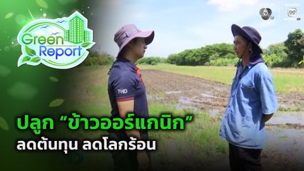 Green Report : ปลูก ข้าวออร์แกนิก ลดต้นทุน ลดโลกร้อน