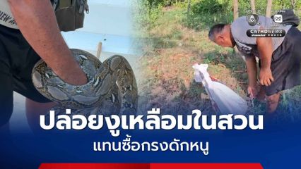 จับงูเหลือมเอาไปปล่อยในสวนแทนซื้อกรงดักหนู
